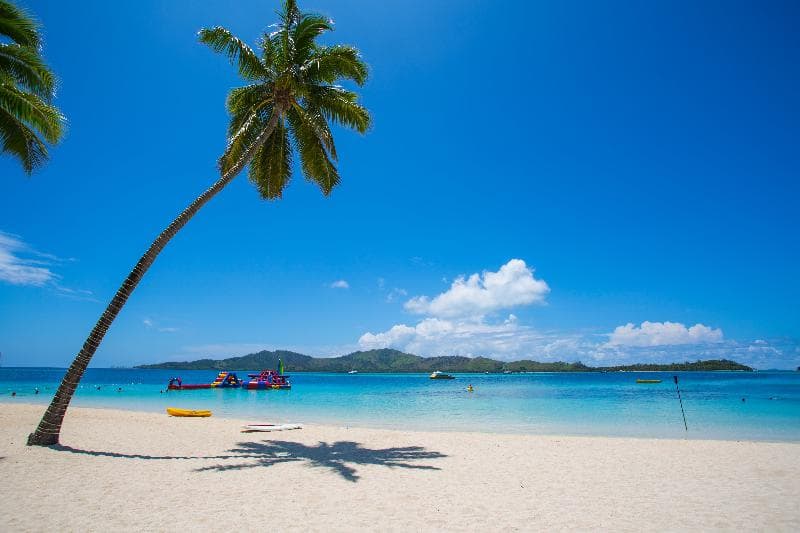 Plantation Island Resort 1