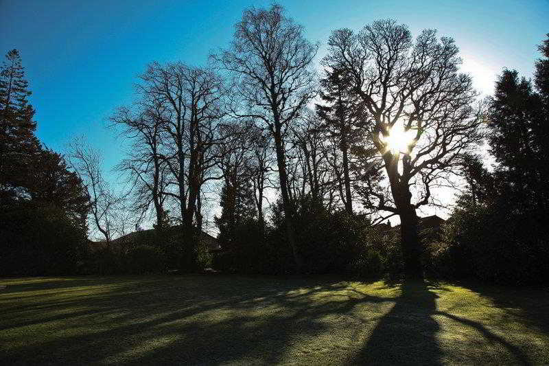 Strathaven Hotel 5