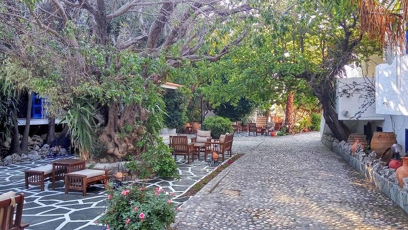 Oasis Hotel & Bungalows 3