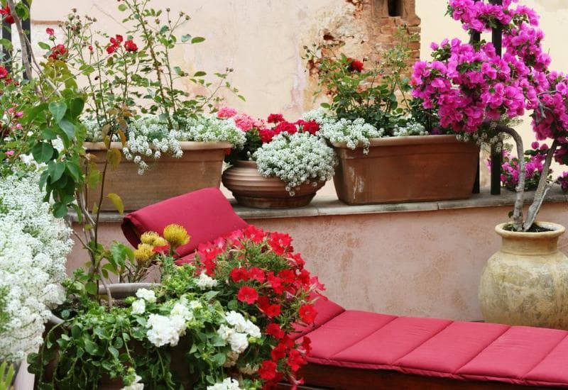 Ionas Boutique Hotel main