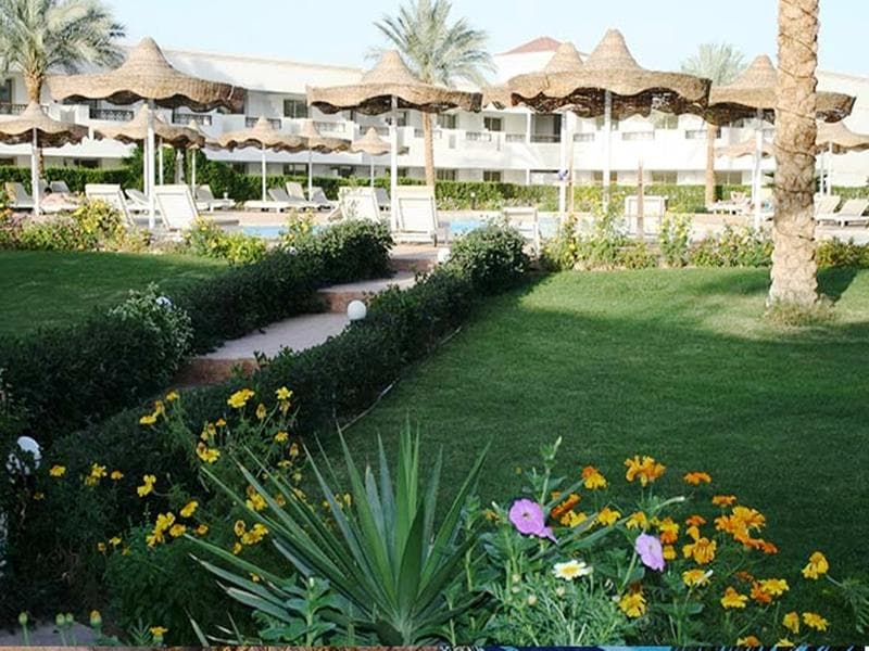 Viva Sharm 2