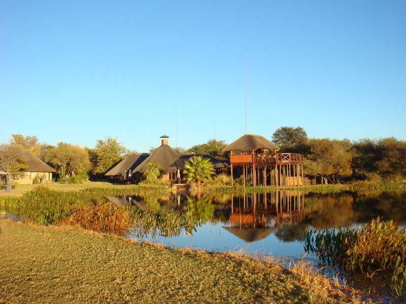 Ditholo Game Lodge 4