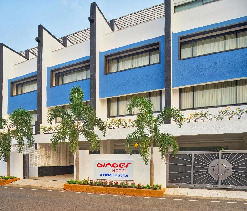 Ginger Goa 4