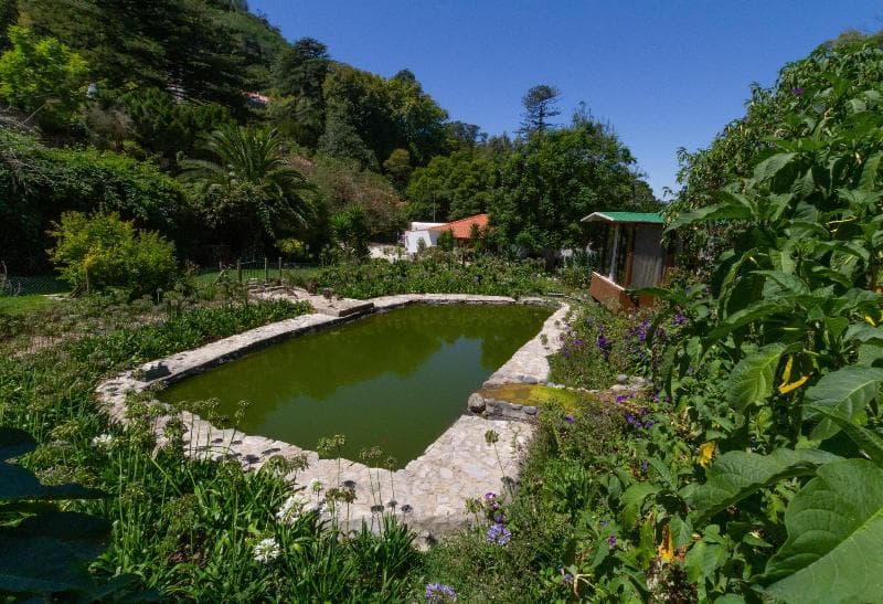 Quinta Das Murtas 5