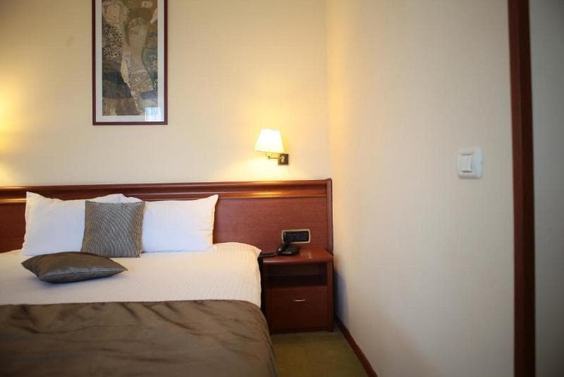 Savoy Hotel Timisoara 2