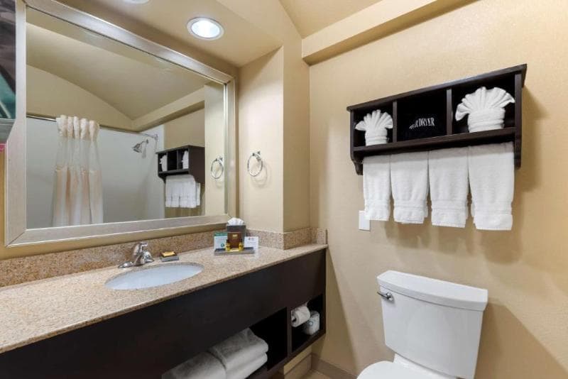 Best Western Plus Arlington North Hotel & Suites 3