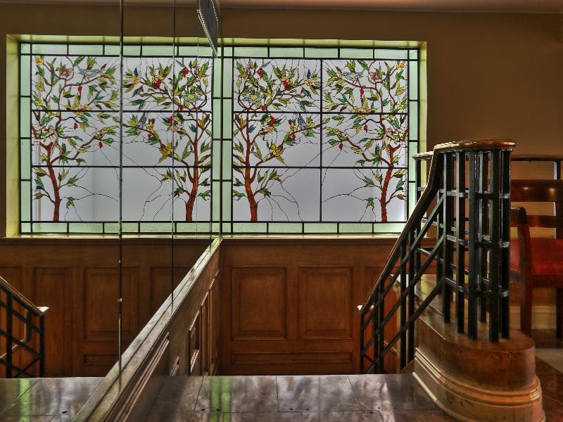 Suites Del Bosque 3