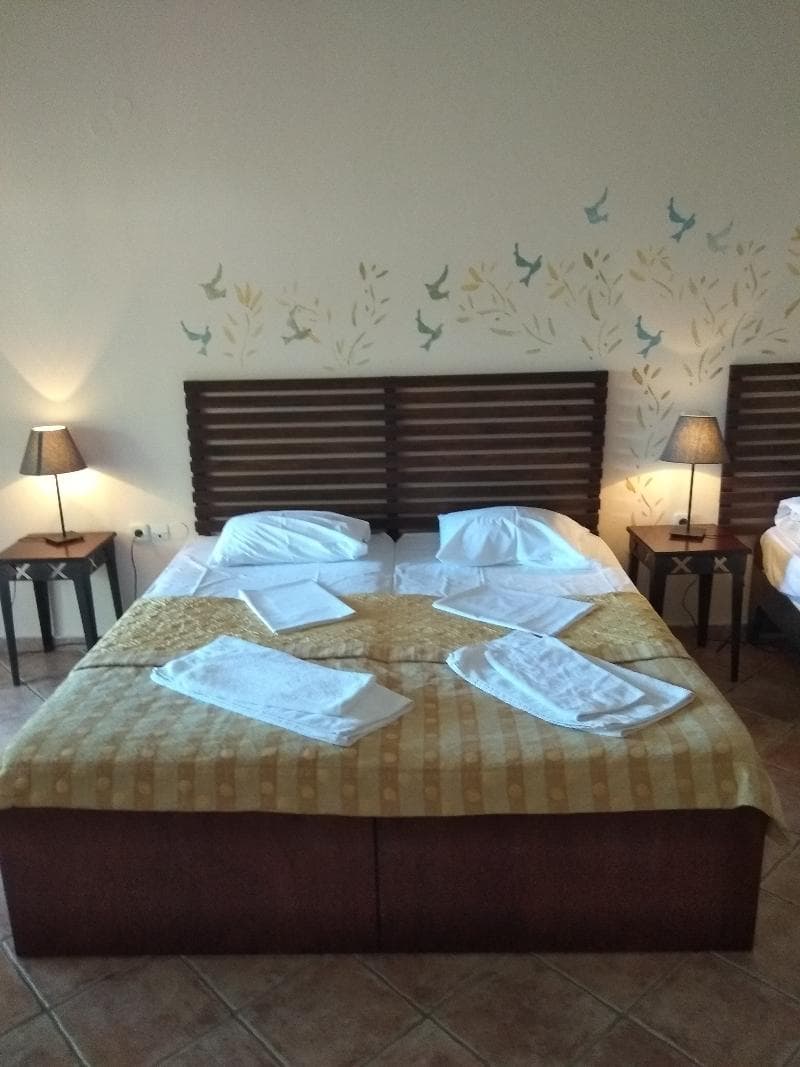 Hotel Ammon Garden 5