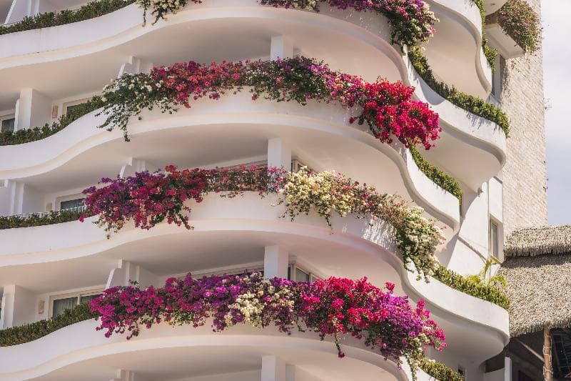 Grand Miramar All Luxury Suites & Residences 5