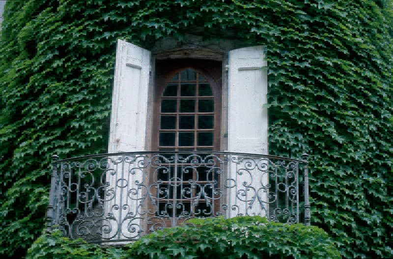 Chateau d'Ayres 4