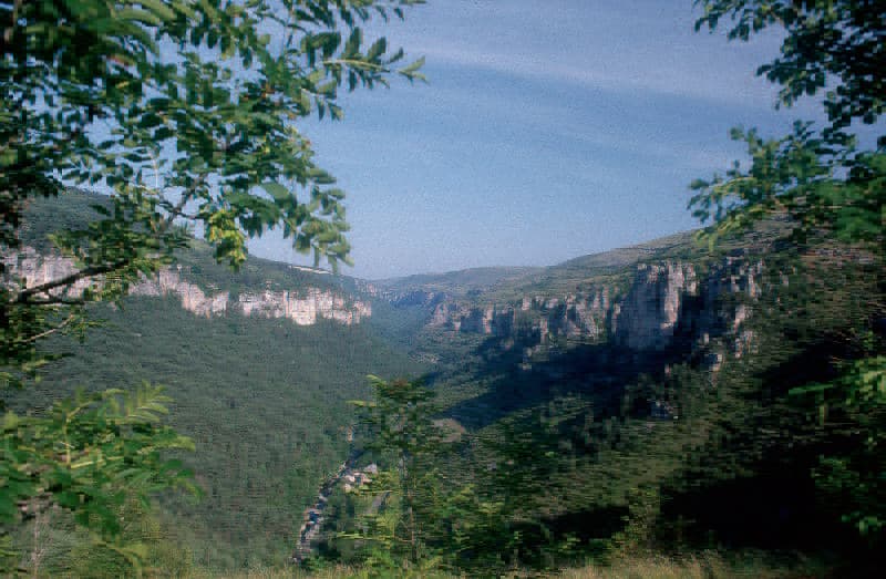 Chateau d'Ayres 3