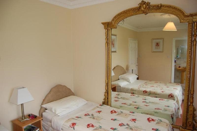 Ballingowan House Bed and Breakfast 4