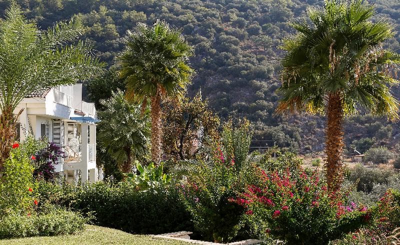 Morina Deluxe Hotel 3