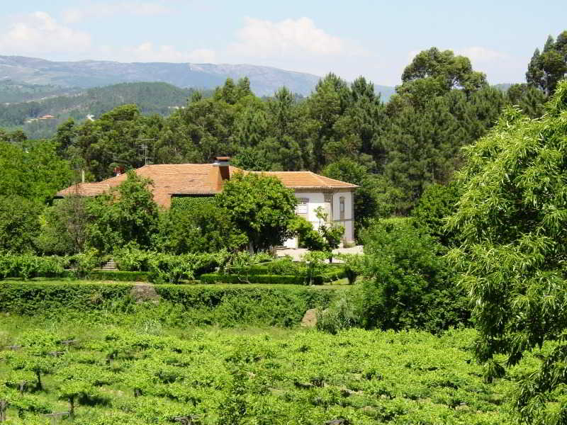Casa da Tojeira 5