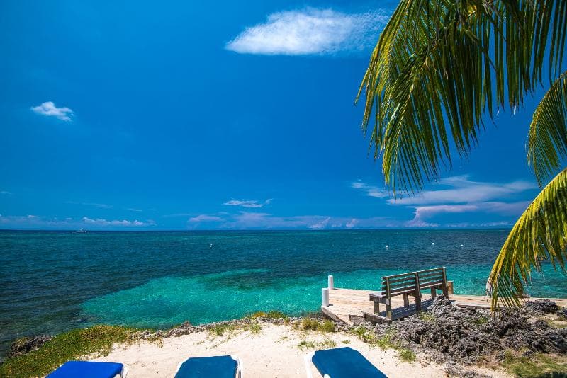 Las Rocas Resort & Dive Center 5