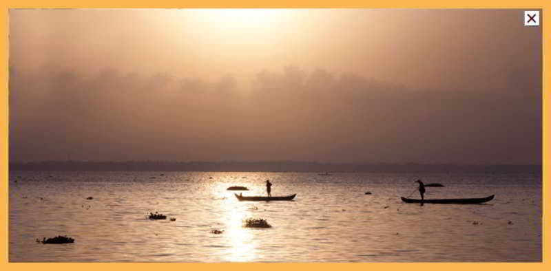 Deshadan Backwater Resort photo 1