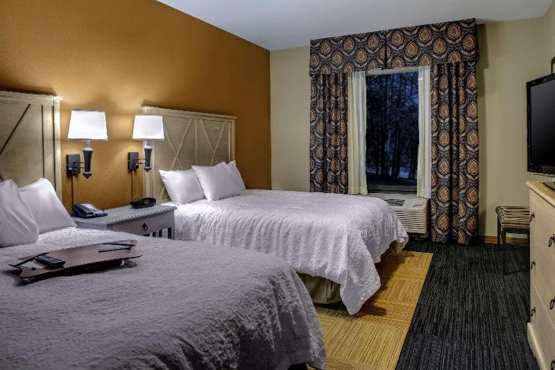 Hampton Inn & Suites Dodge City 4