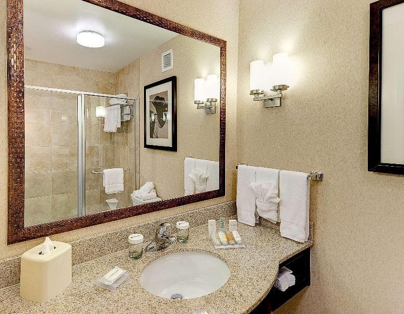 Hilton Garden Inn El Paso Airport 5