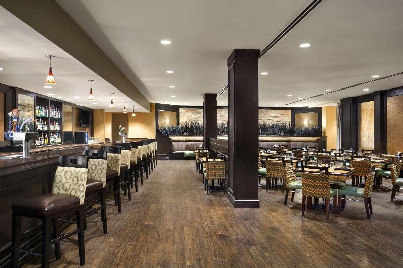 DoubleTree by Hilton Hotel Dallas - DFW Airport North 4
