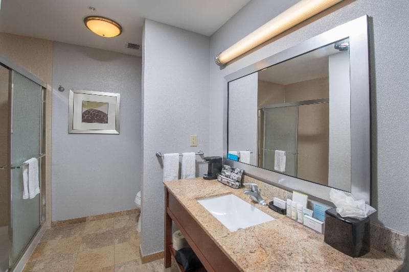 Hampton Inn & Suites Selma-San Antonio-Randolph AFB Texas 4