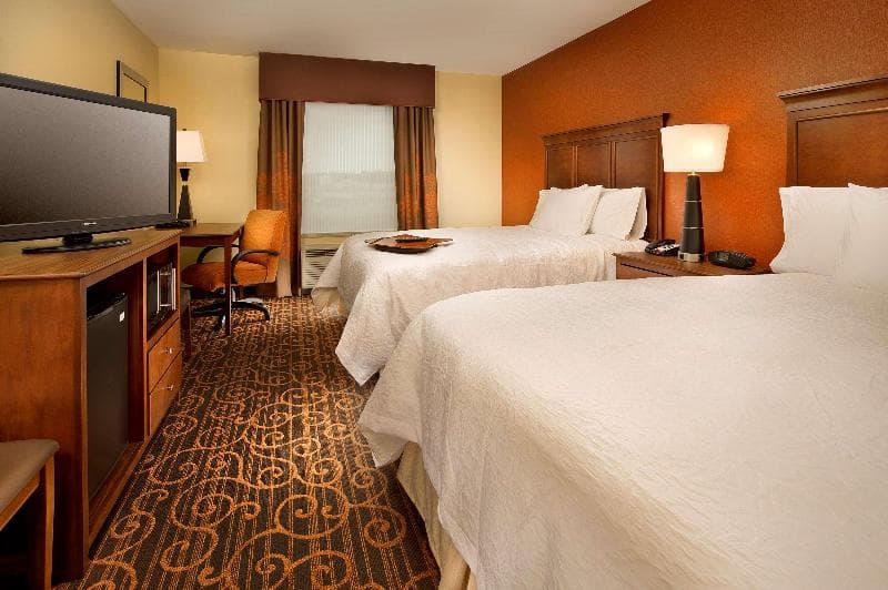 Hampton Inn & Suites Selma-San Antonio-Randolph AFB Texas 5