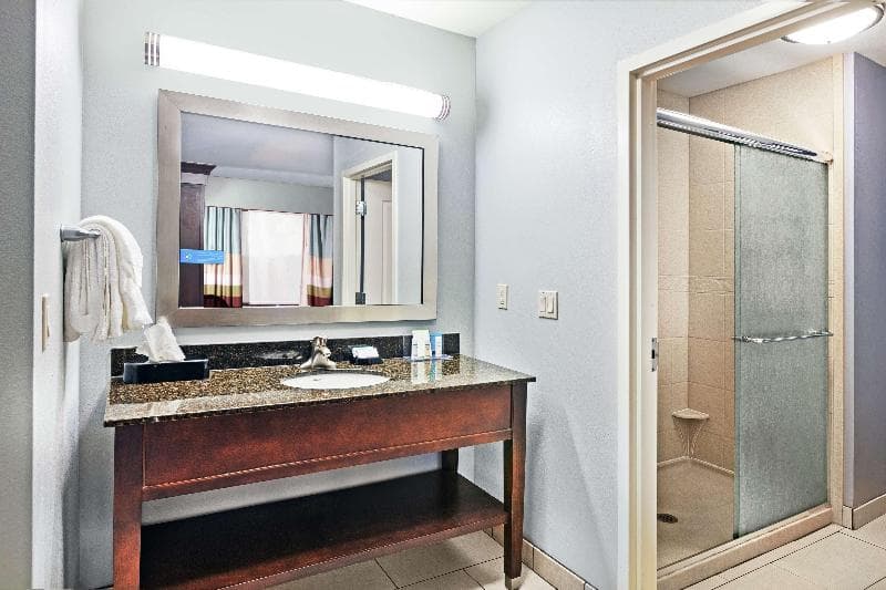 Hampton Inn & Suites Shreveport/Bossier City Airline Drive 4