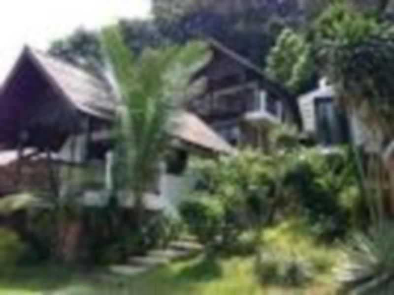 Vikasa Yoga Retreat Koh Samui (Adults Only) 5
