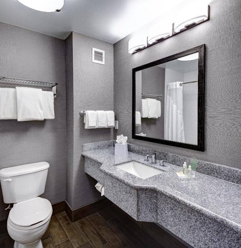 Holiday Inn Savannah Historic District Hotel photo 1