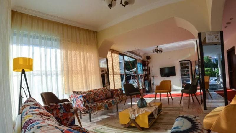 Green Palm 5