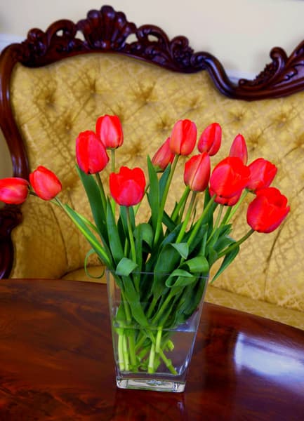 Aparthotel Iosefin Residence 3