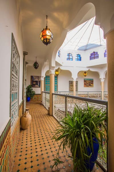 Riad Zinoun 5