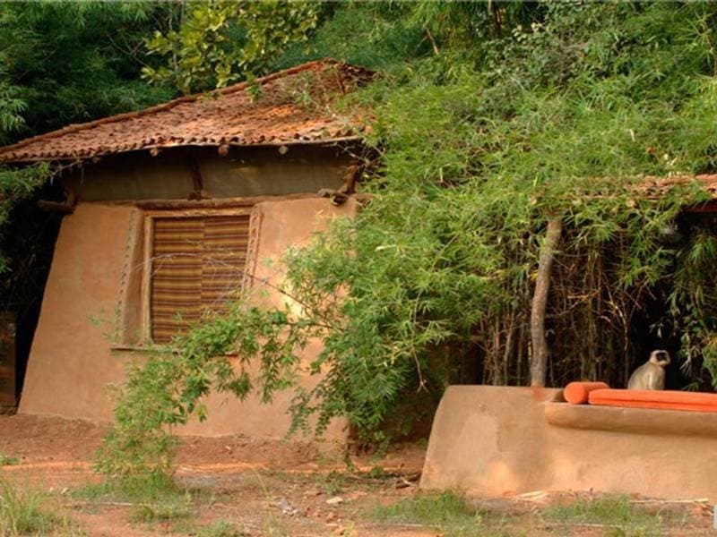 Mahua Kothi, A Taj Safari - Bandhavgarh National Park 3