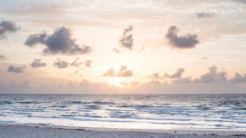 Four Seasons Resort Palm Beach 3