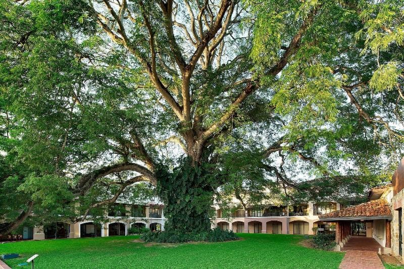 The Buenaventura Golf & Beach Resort Panama, Autograph Collection 4