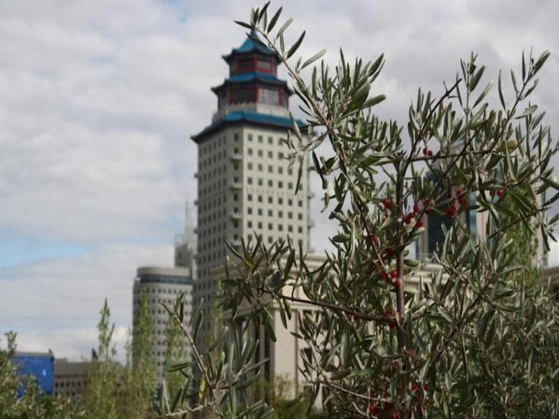 Beijing Palace Soluxe Hotel Astana 4