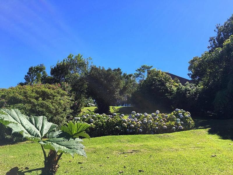Poas Volcano Lodge 5