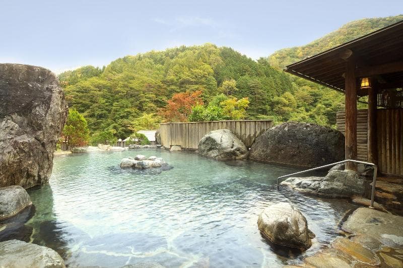 Hodakaso Yamano Hotel 2