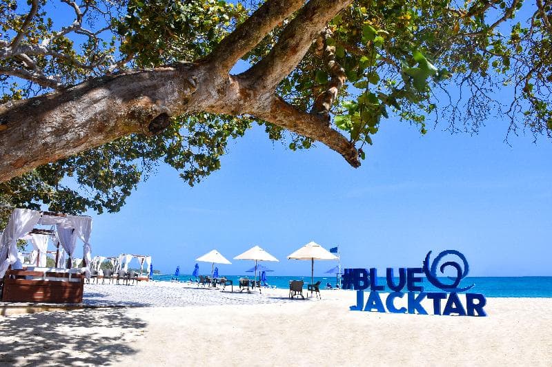 Blue JackTar 3