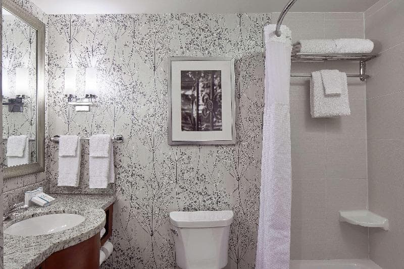 Hilton Garden Inn Atlanta Midtown 3