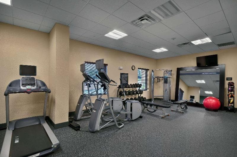 Hampton Inn & Suites Tampa Northwest/Oldsmar 2