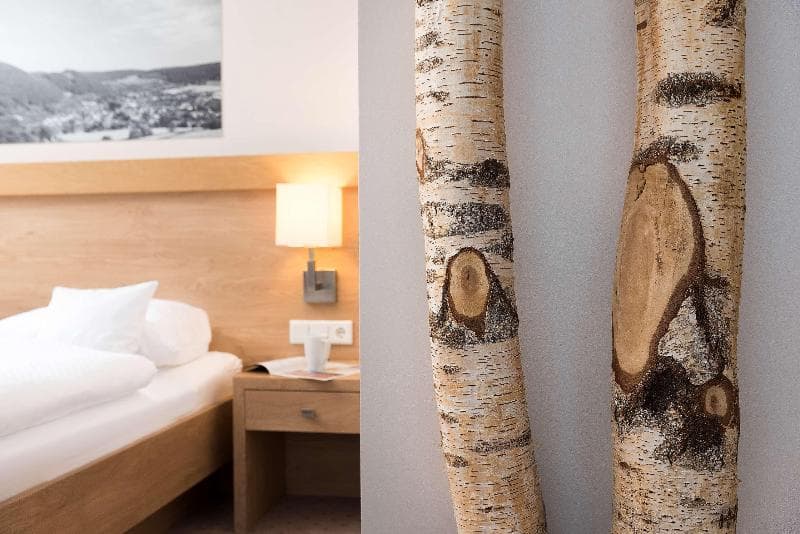 Best Western Plus Hotel Willingen 4