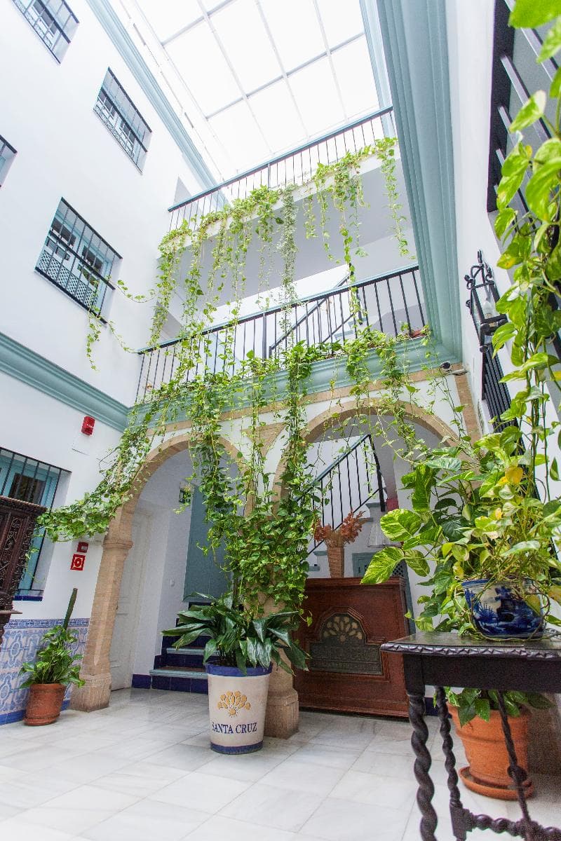 Apartamentos Suites Santa Cruz 3