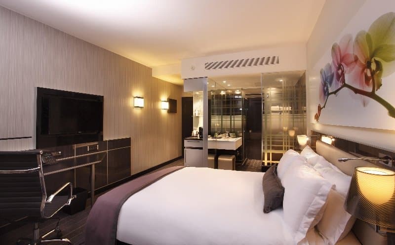 The Maslow Hotel 5