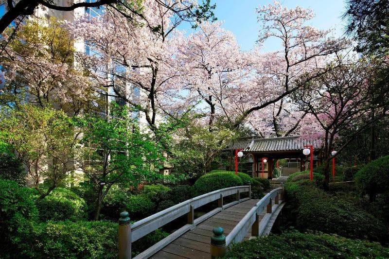 The Prince Sakura Tower Tokyo, Autograph Collection 5