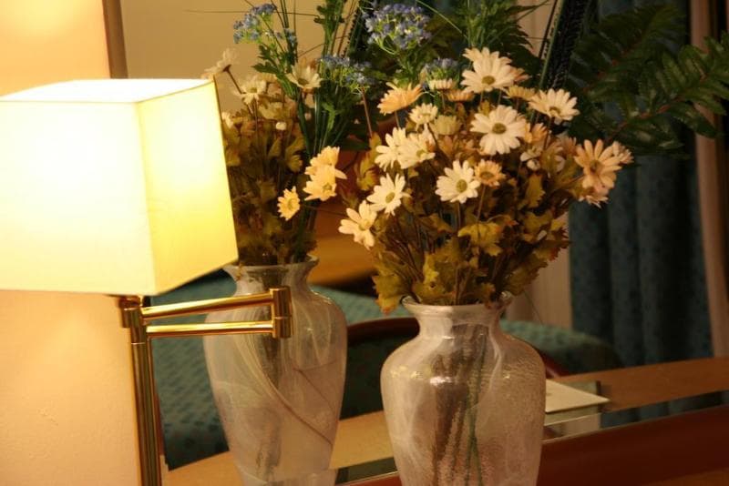 Albert Hotel photo 1