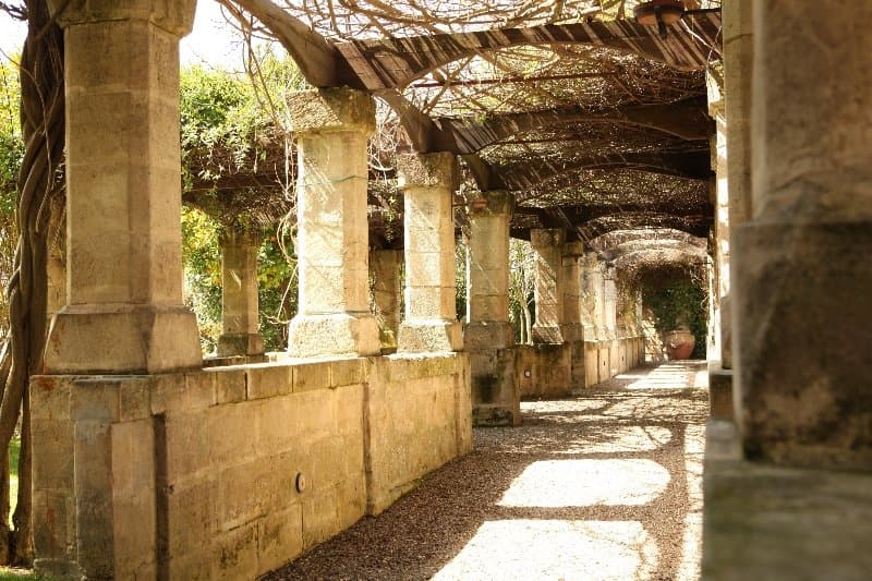Del Campo 3