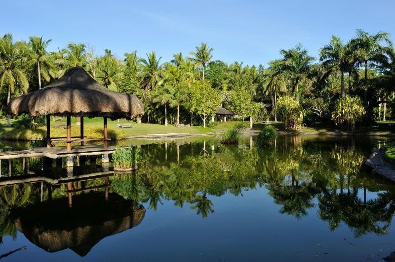The Farm at San Benito 3
