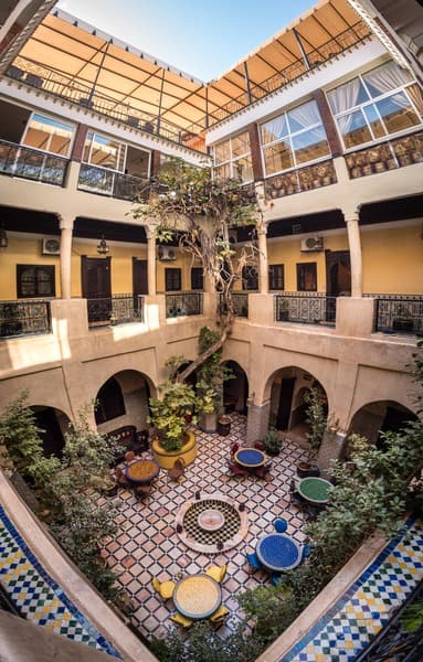 Riad Omar main