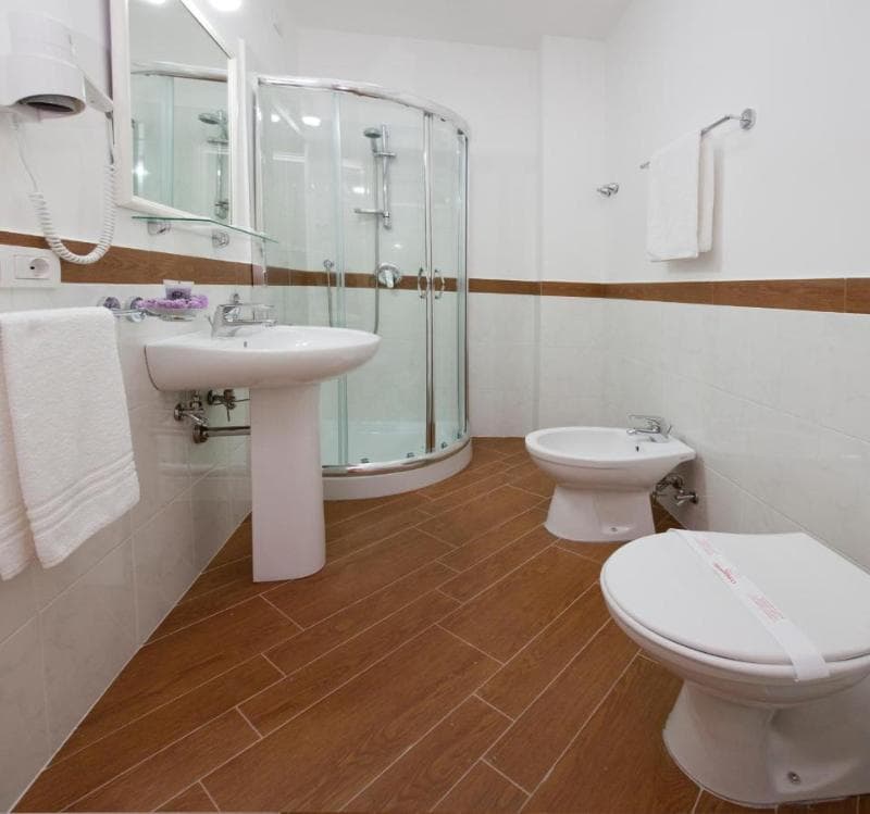 Hotel Royal Hills 4