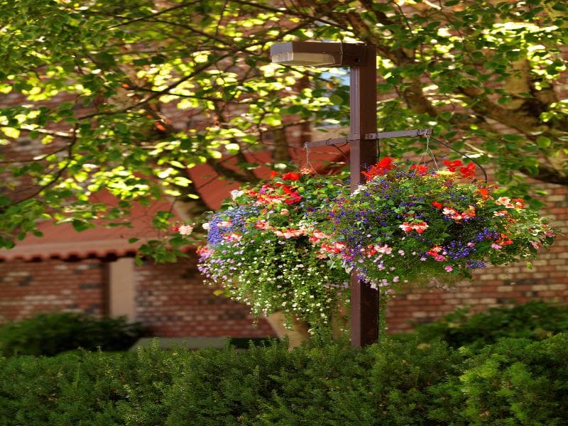 Royal Scot Hotel & Suites 2